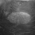 biometric security