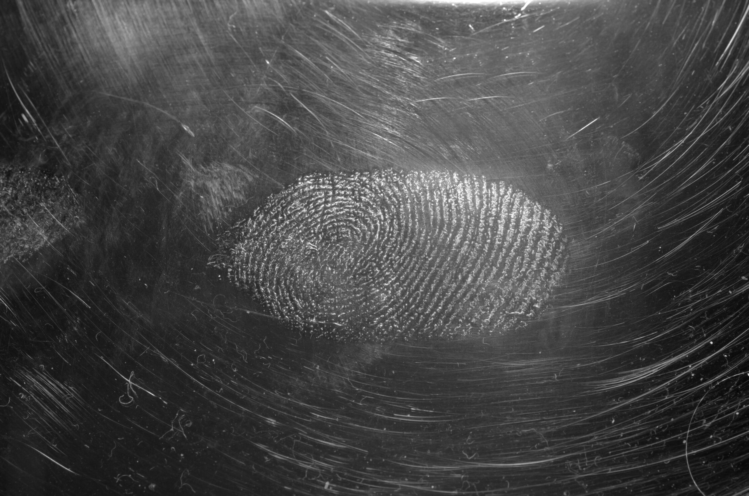 biometric security
