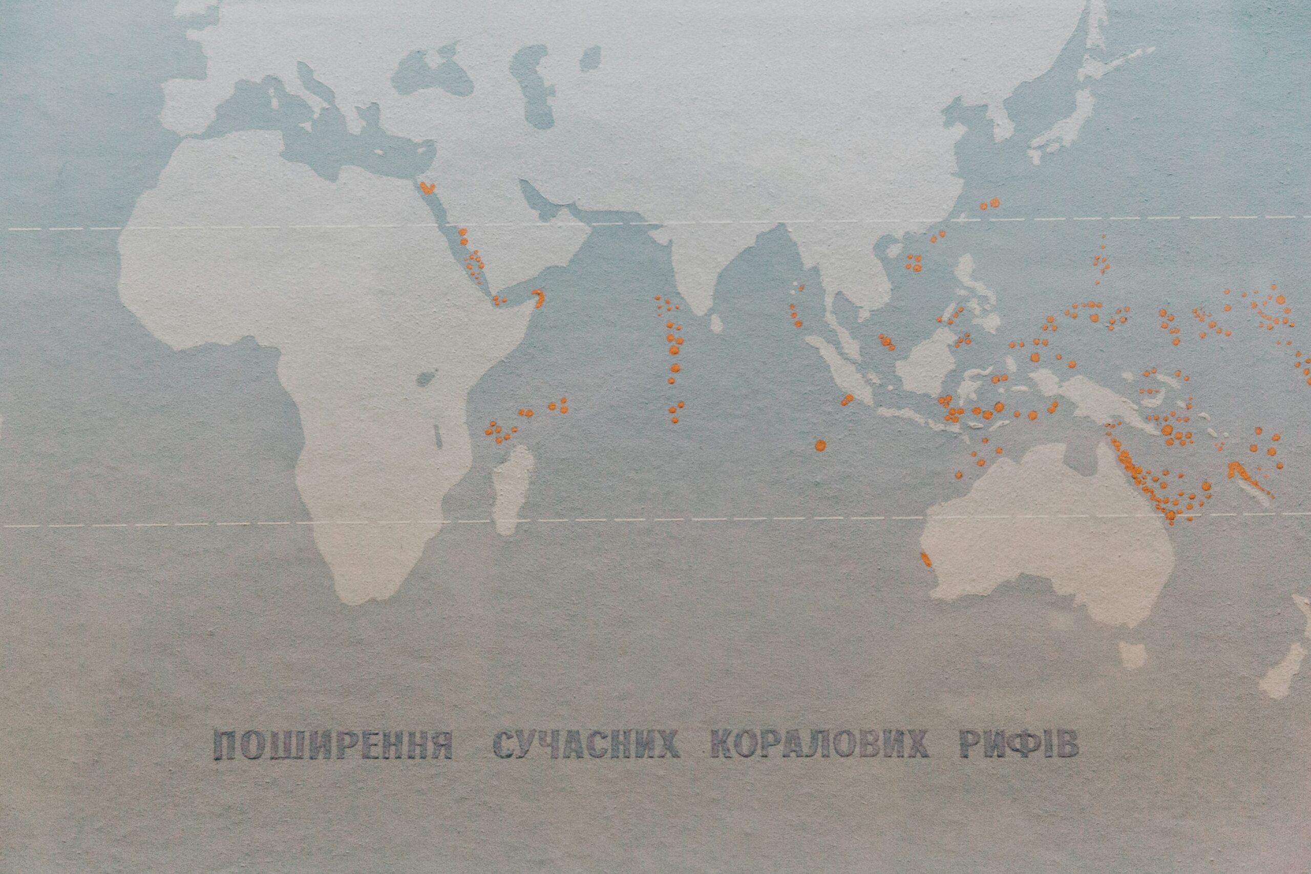 Dashboard showing analytics segmented by geographic region