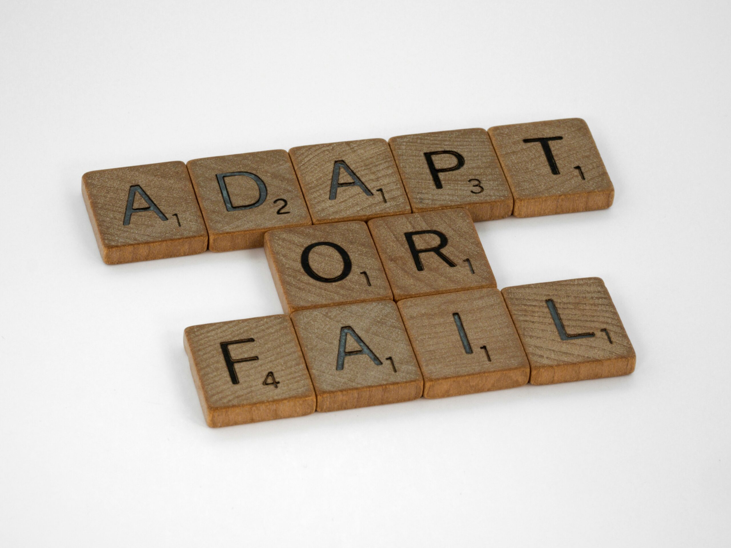 Graph comparing successful versus failed portability rates in IT setups